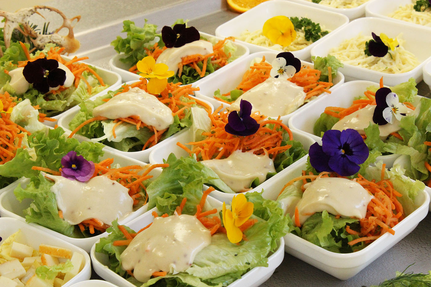 visuel cantine