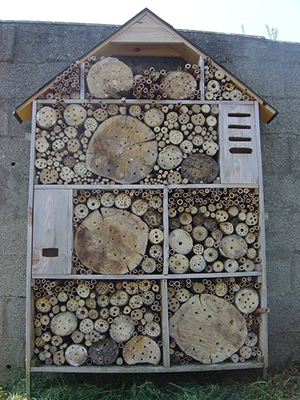 hotel a insectes