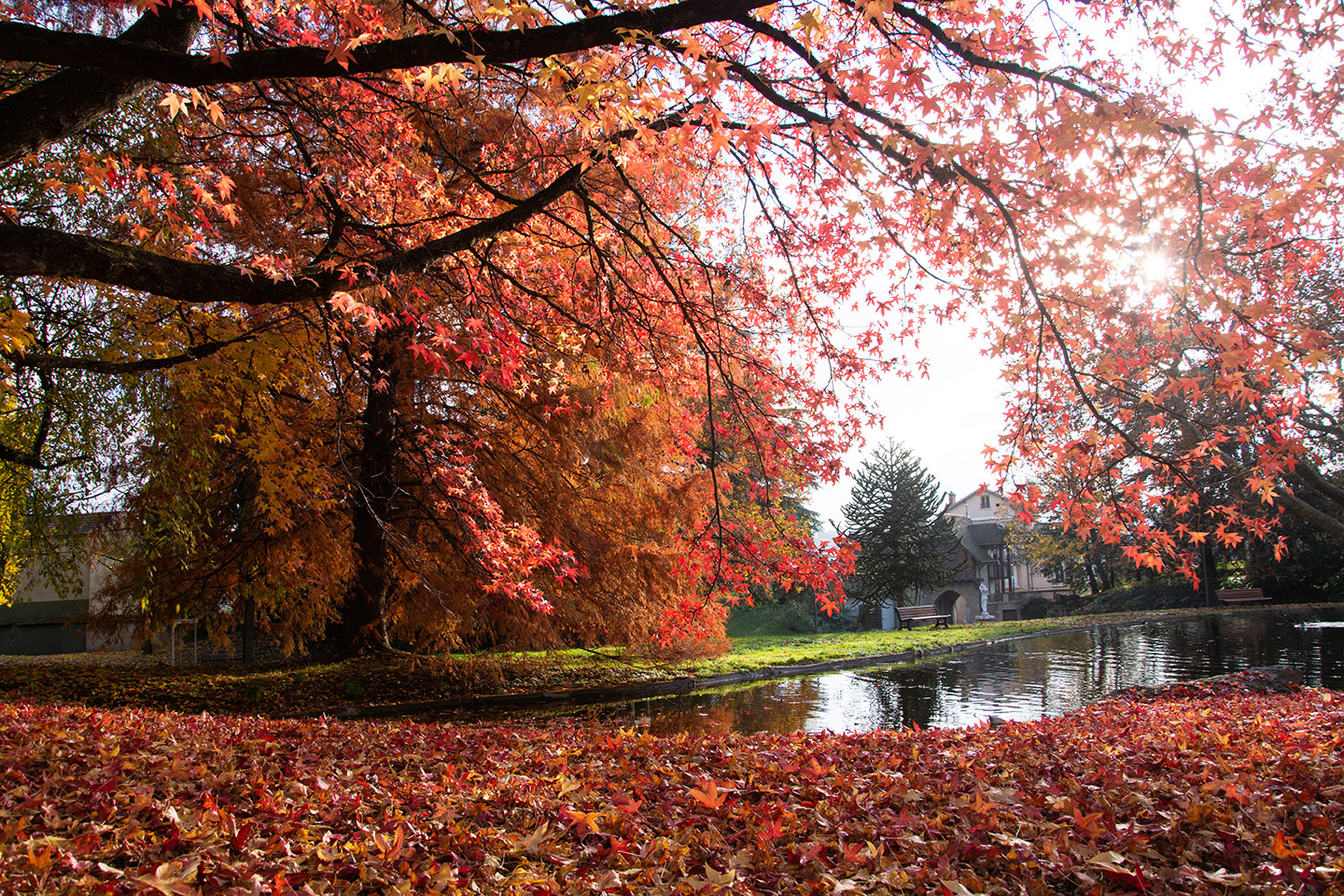 parc du manoir